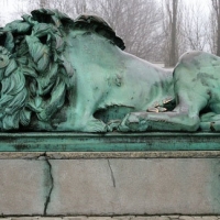 Śpiący lew 