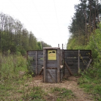 Las bródnowski - pułapka na dziki