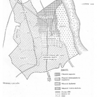 Plan własności