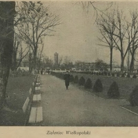 Zieleniec Wielkopolski