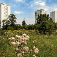 Teren byłego stadionu