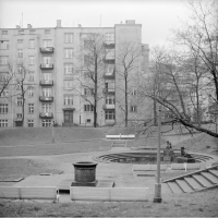 Widok na park