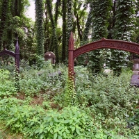 Resztki neogotyckich, żeliwnych, ogrodzeń grobowców rodzinnych