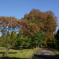 Park Ogrody Kosmosu