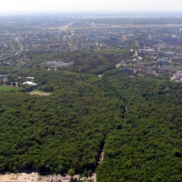 Lasek Bielański i szpital