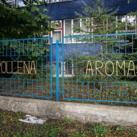 Pollena Aroma