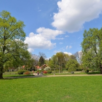 Park Skaryszewski - ogród różany