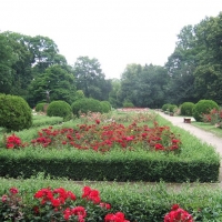 Rosarium