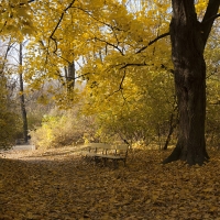 Park Skaryszewski