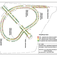 Klasyfikacja drzew w alejach głównych parku Skaryszewskiego