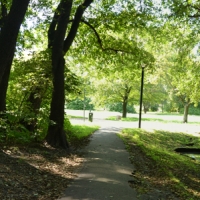 Zdjęcie Park Olszyna