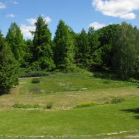 Rośliny światłolubne