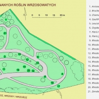 Kolekcja mało znanych roślin wrzosowatych