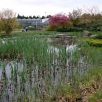 Ogród botaniczny