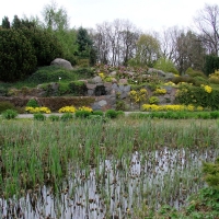 Ogród botaniczny