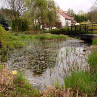 Ogród botaniczny