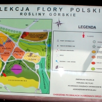 Mapa roślin górskich