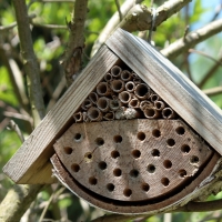 Domek dla pszczół