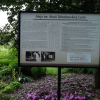 Aleja Marii Skłodowskiej-Curie