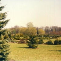 Arboretum