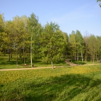 Park Wyględów