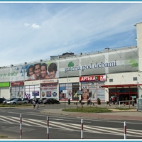 Galeria pod Dębami