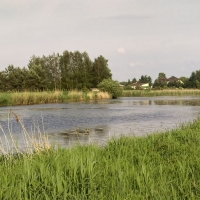 Zdjęcie Jezioro Lisowskie