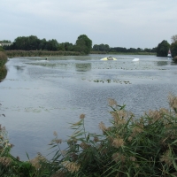 Wakeboard na jeziorze