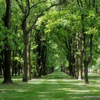 Park Powstańców Warszawy