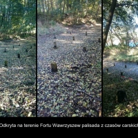 Pozostałości palisady