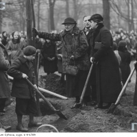 Sadzenia drzewka imienia Marii Skłodowskiej-Curie