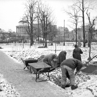 Jeńcy niemieccy w trakcie porządkowania terenu