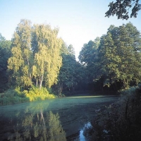 Strumień i wyspa w dolnym parku