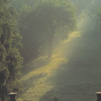 Widok z tarasu pałacowego na dolny park