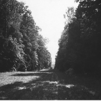 Główna aleja