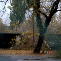 Wejście na trybuny toru