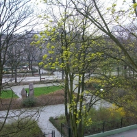 Widok w kierunku południowym na park