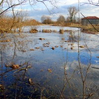 Jezioro Struga