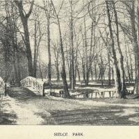 Park Sielecki