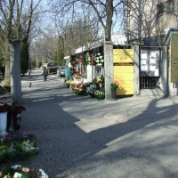Wejście