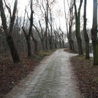Teren wytwórni