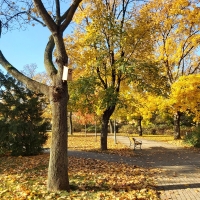 Zdjęcie Park im. Obwodu Praga Armii Krajowej