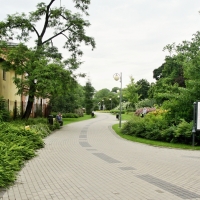 Ulica Weterynaryjna