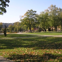 Teren parku