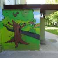 Graffiti (Szwankowskiego 4)