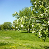 Park Zachodni