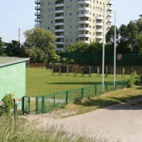 Tory łucznicze
