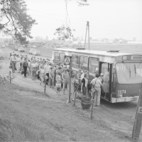 Pętla autobusowa