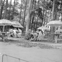 Park kultury