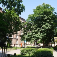 Kolonia Wawelberga